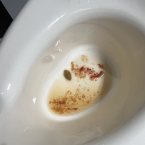 Вот