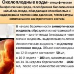 Вод там мало, но такое бывает, я когда на сохранении лежала у де