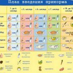 Вот