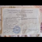 Я никогда не вынуждаю по этому все данные документы оставила тут