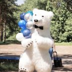 Можно мишку заказать с поздравлением и цветами или кашпо в форме