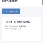 На гос услугах его нет,можете посмотреть в личном кабинете ФСС,п