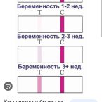 У меня 2 неделя и 5 дней вот тест