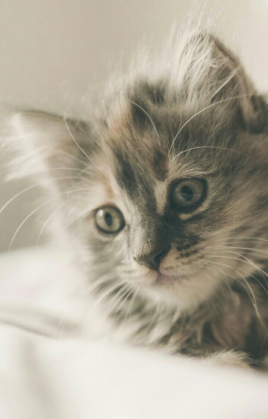 Марина
