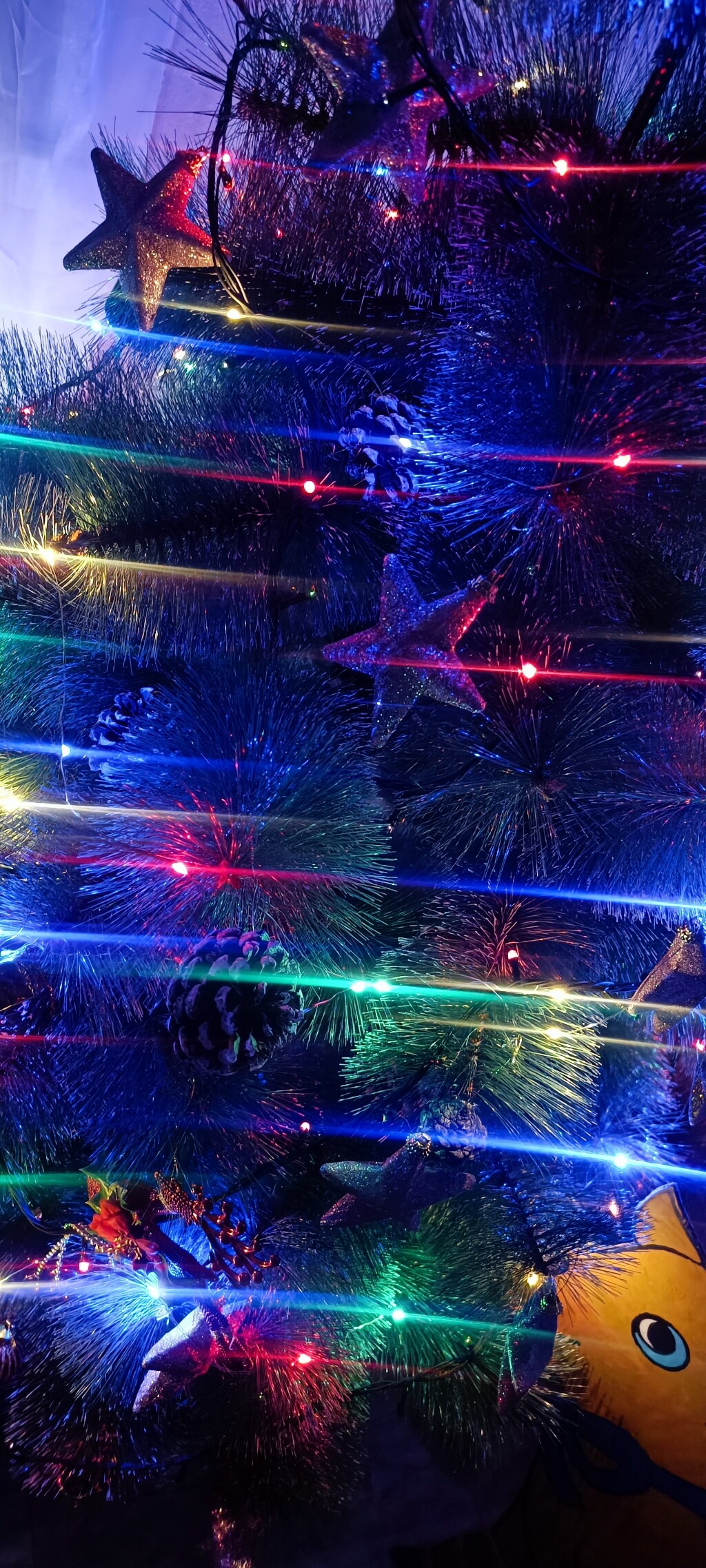 Юлия