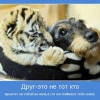 Елизавета