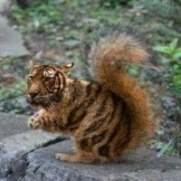 ЮляшаМатьЕгоВеличества