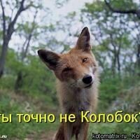 Батова Юлия