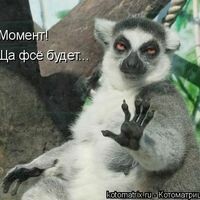))))) ****