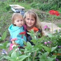 зульчик