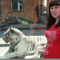 Кот Анна