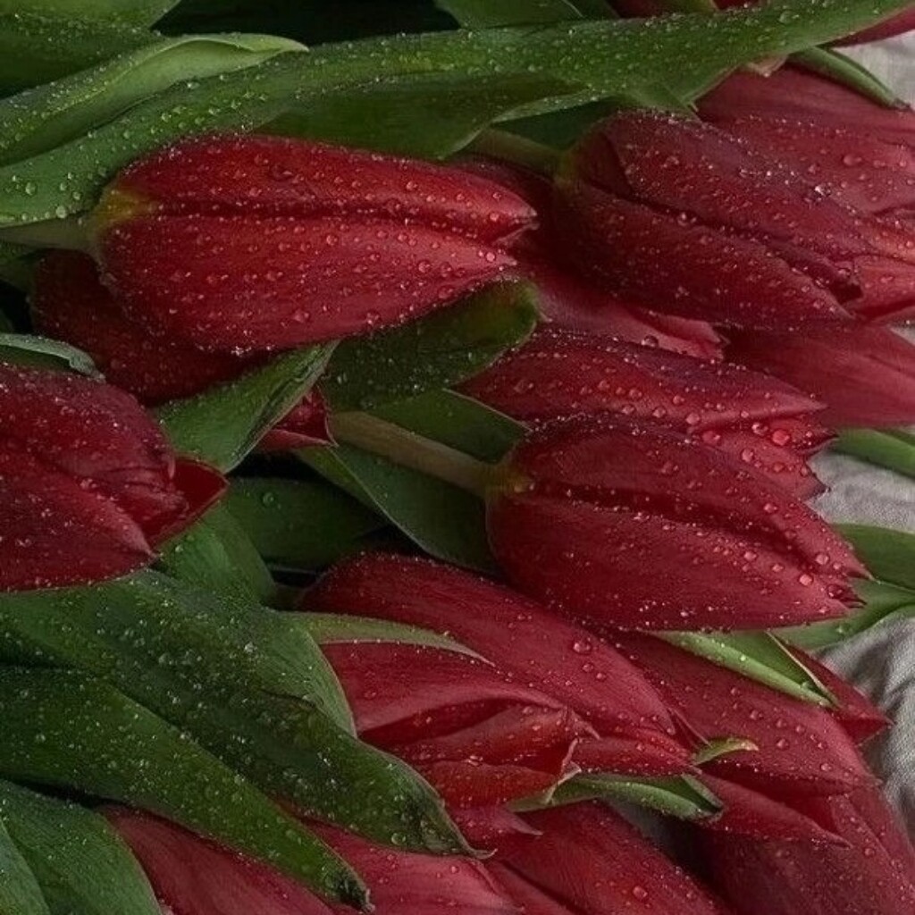 Мариша Полетаева