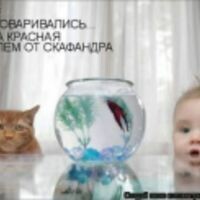 Катя