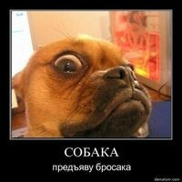 ушла-я