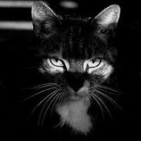 NataFika
