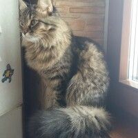 Екатерина Дмитриева