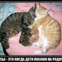И♠ТА♠и♠ЭТА