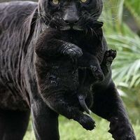 ★Ночная★жду✿Лето✿