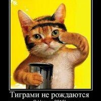 ирина-бесс