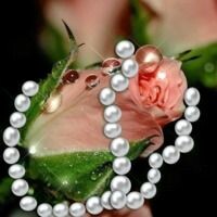 Вострикова Арина