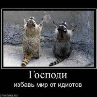 лахта ольга