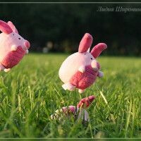 ДарюПОЗИТИФФФЧИК
