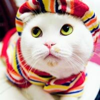 Светик Бурт
