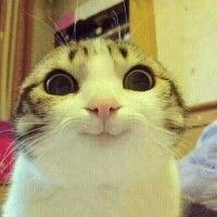 Оксана