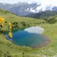 Светлана Семенова