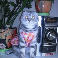 Ксения
