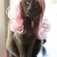 Лиза