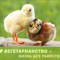 яна