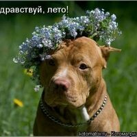 Алёна