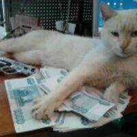 МАРИЯ Ерина