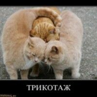 Аленушка