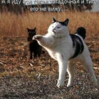 яПонка