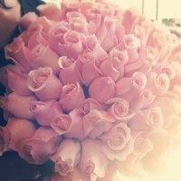 ღღUmmYusufღღ ❤❤❤