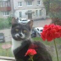 оксана