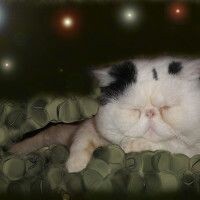 ✿✿✿Леночек✿✿✿