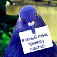 Надежда