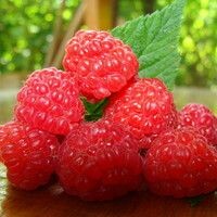 Малин-Ка
