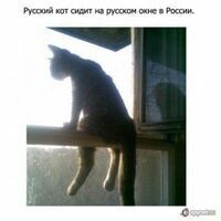 Безумная-мамаша