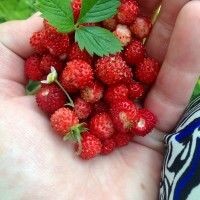 MamoCHka Маша