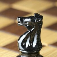 Тёмная лошадка