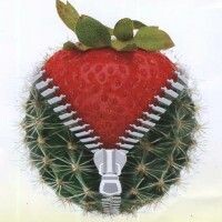 КАКТУС НЕОБЫКНОВЕННЫЙ
