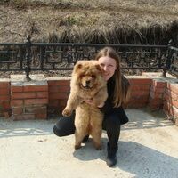 Аль Раи Марина