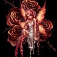 рита