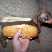 Вика