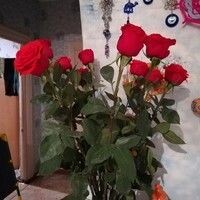 Любовь Зырянова