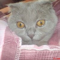 Юльча